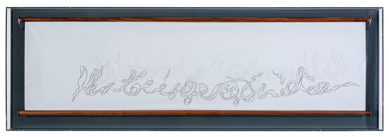 Obra de arte: Caligrafía fantasma – especie desconocida (Historis gorgonidia)